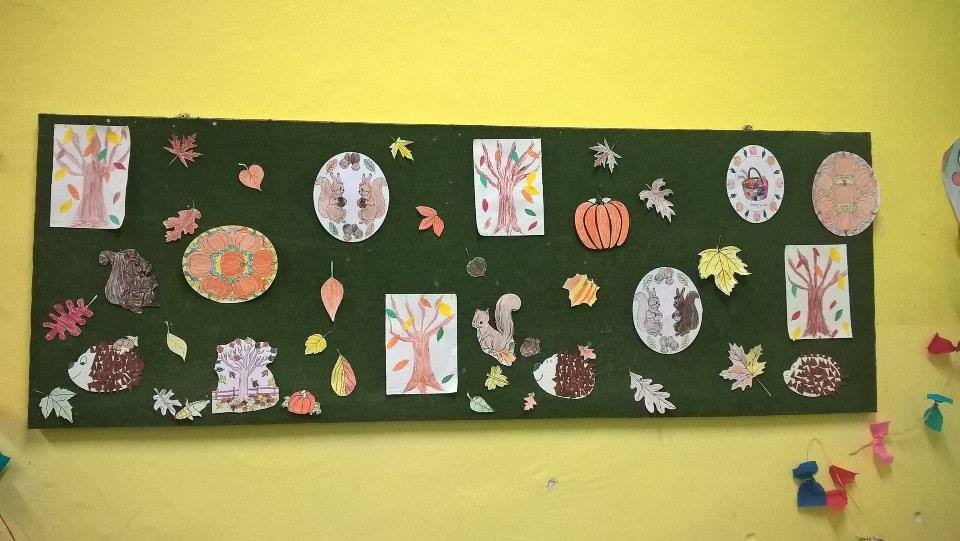 Специјално 2,3,4