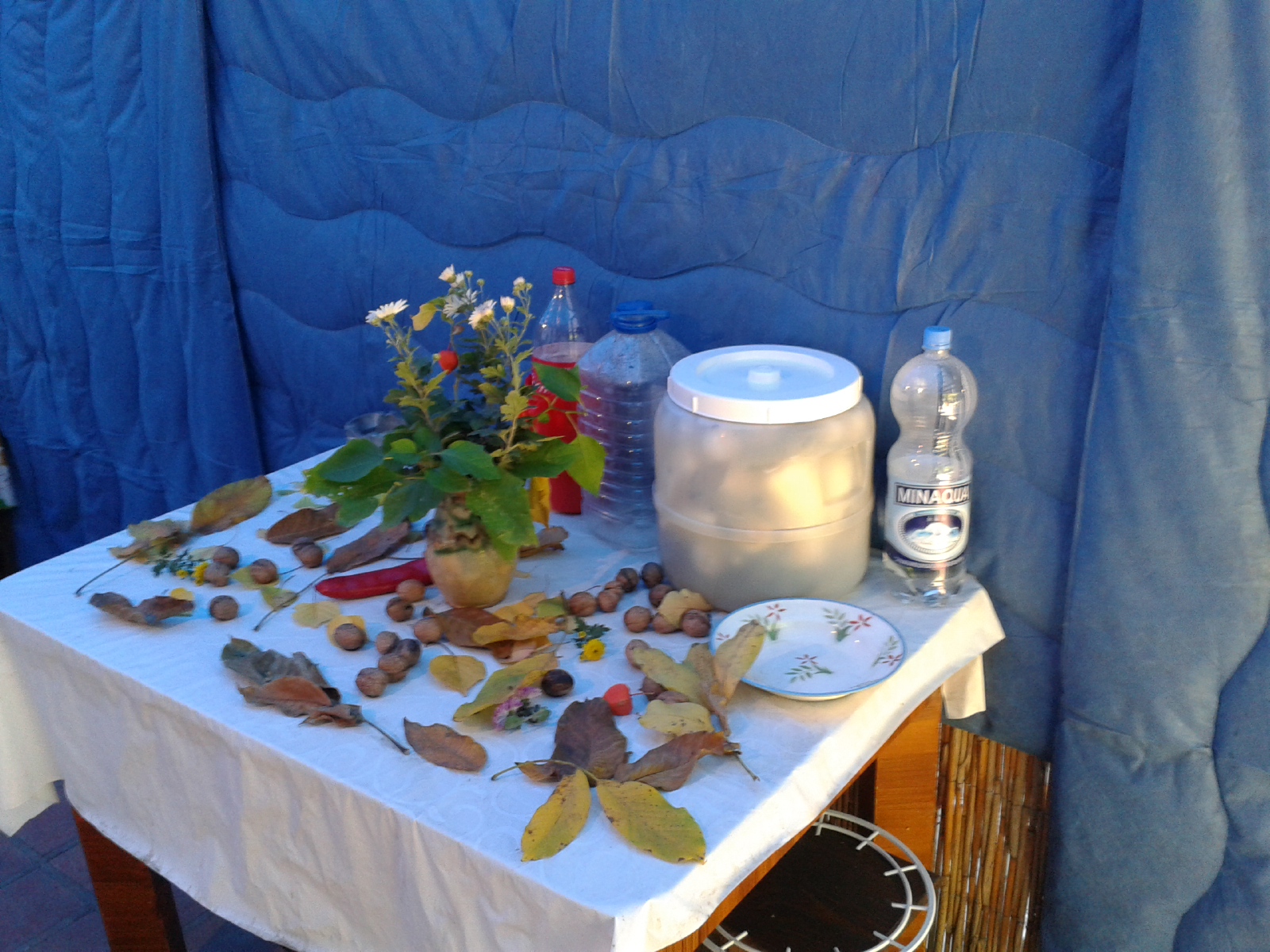 20171020_093833.jpg